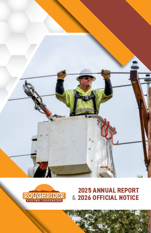 2025 annual report